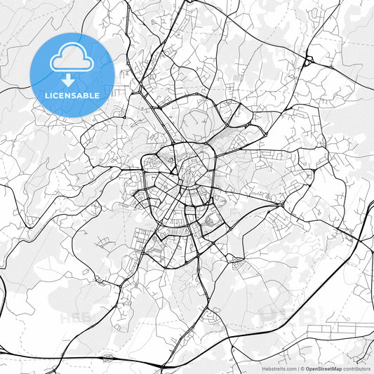 Vector PDF map of Viseu, Portugal