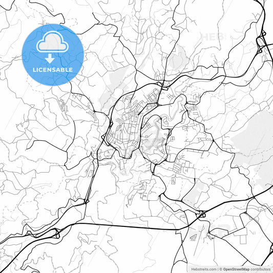 Vector PDF map of Vila Real, Portugal