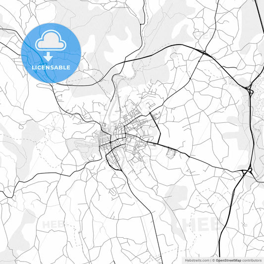Vector PDF map of Tomar, Portugal