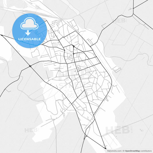 Vector PDF map of Roșiorii de Vede, Romania
