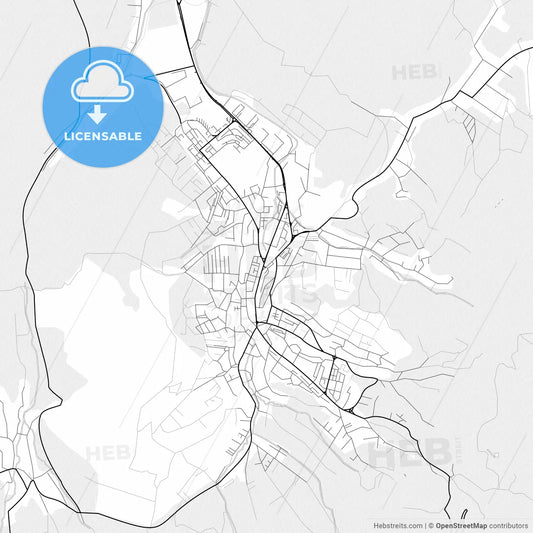 Vector PDF map of Zalău, Romania