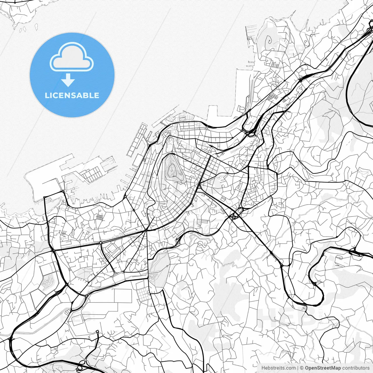 Vector PDF map of Vigo, Spain