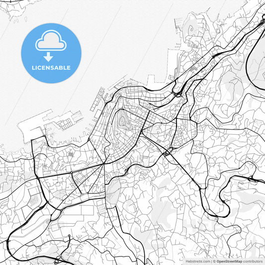 Vector PDF map of Vigo, Spain