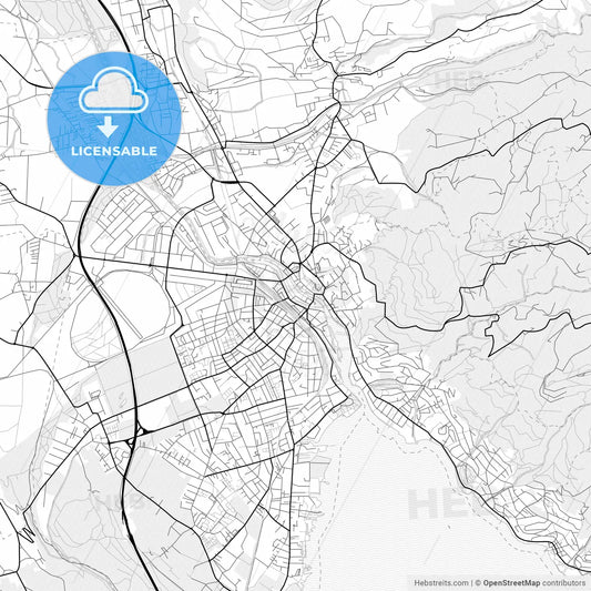 Vector PDF map of Thun, Switzerland