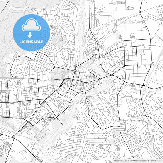 Vector PDF map of Vinnytsia, Ukraine