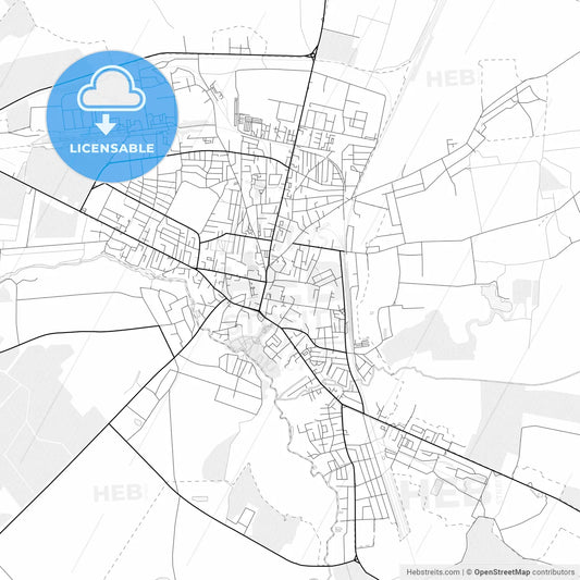 Vector PDF map of Volodymyr-Volynskyi, Ukraine