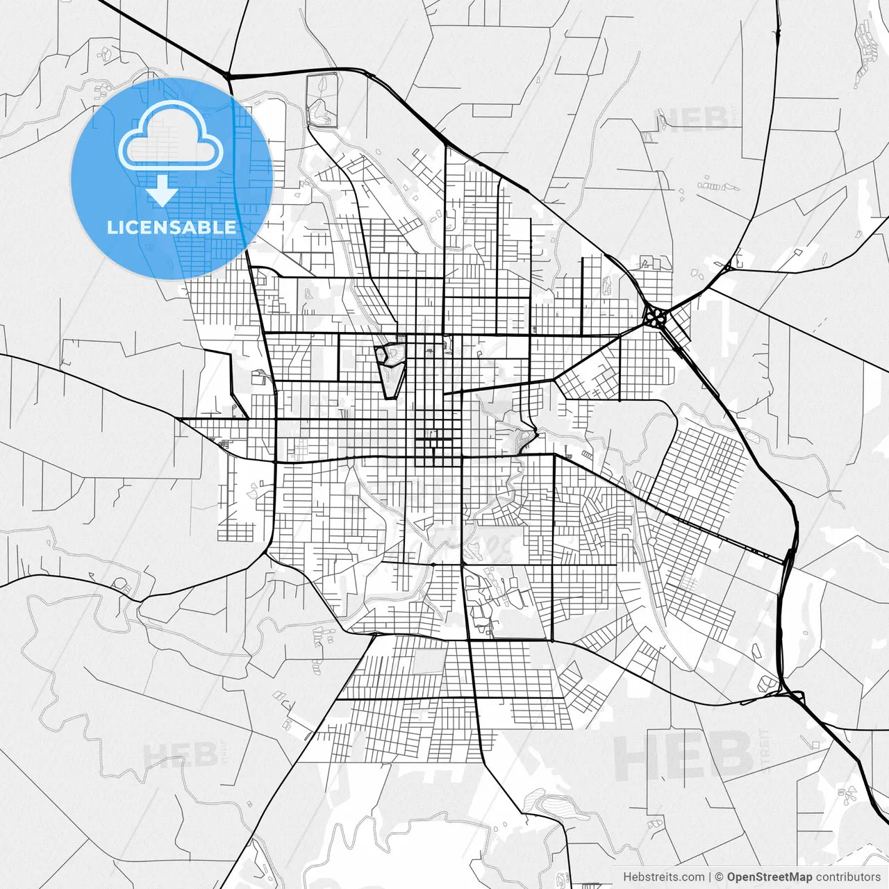 Vector PDF map of Toledo, Brazil