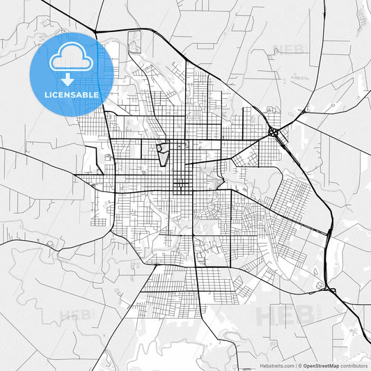 Vector PDF map of Toledo, Brazil