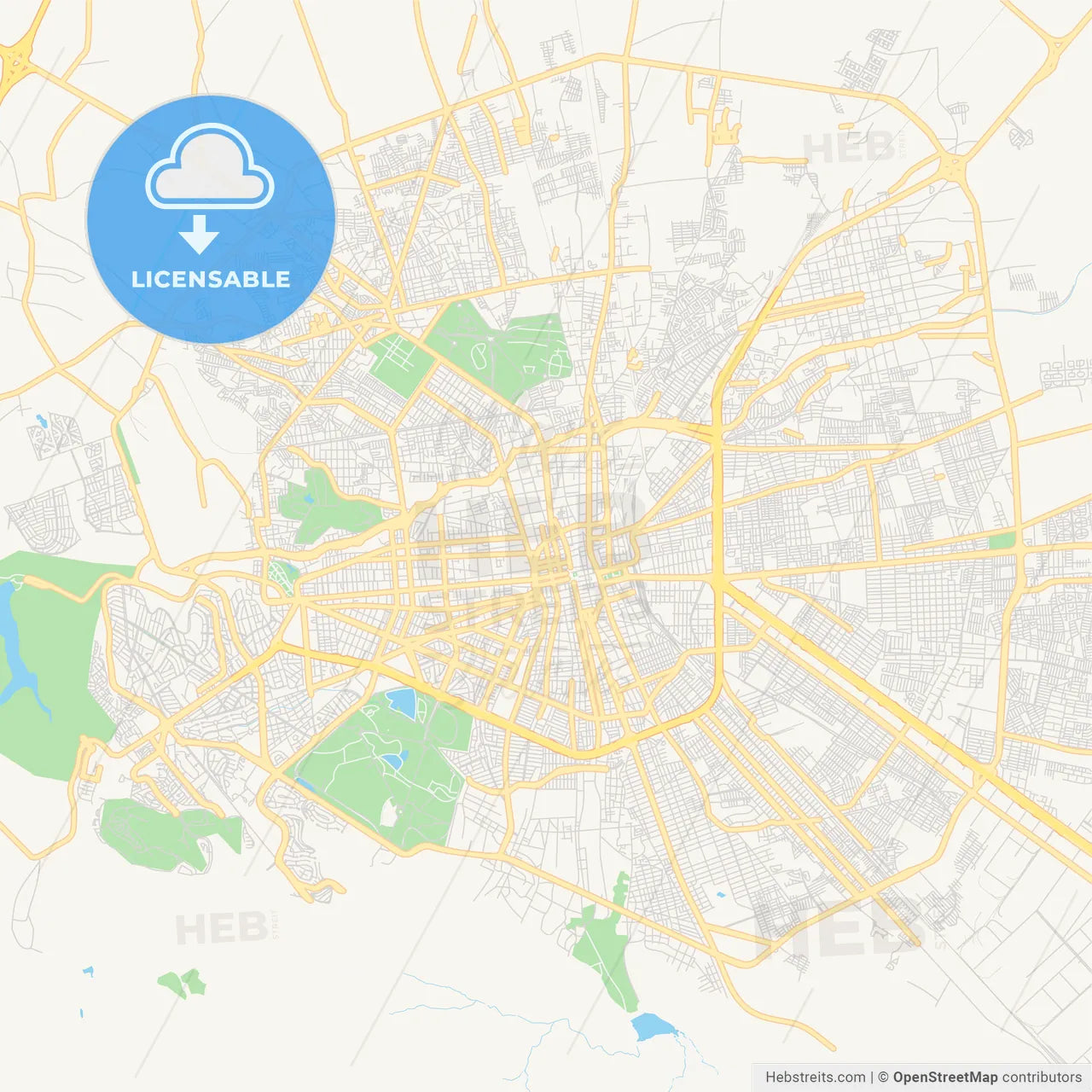Empty vector map of San Luis Potosí, San Luis Potosí, Mexico