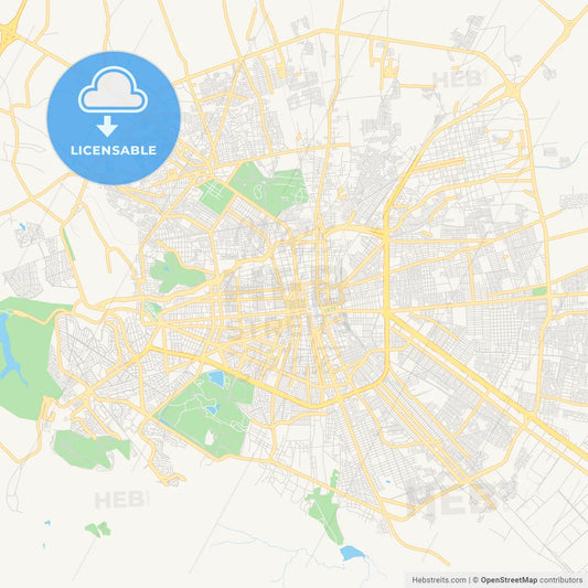 Empty vector map of San Luis Potosí, San Luis Potosí, Mexico