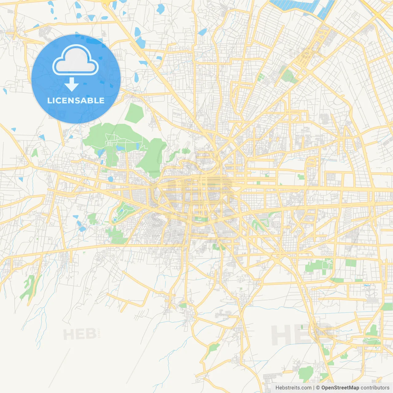 Empty vector map of Toluca, México, Mexico