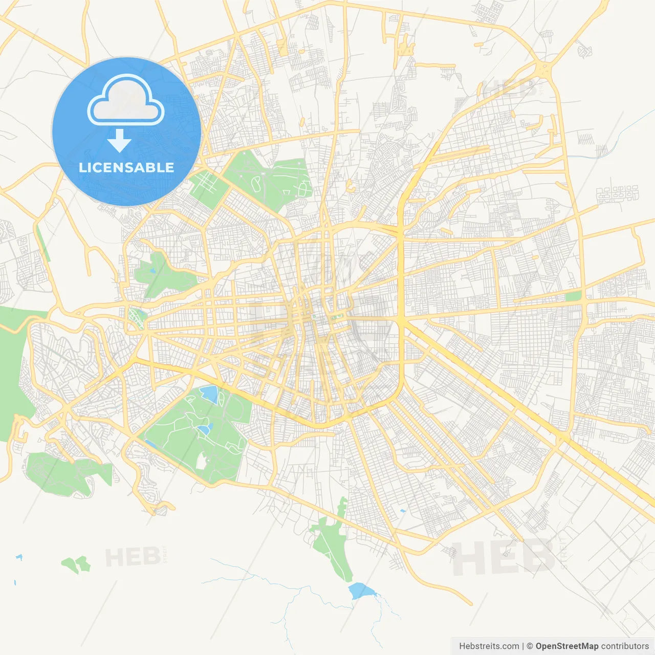 Empty vector map of Soledad de Graciano Sánchez, San Luis Potosí, Mexico