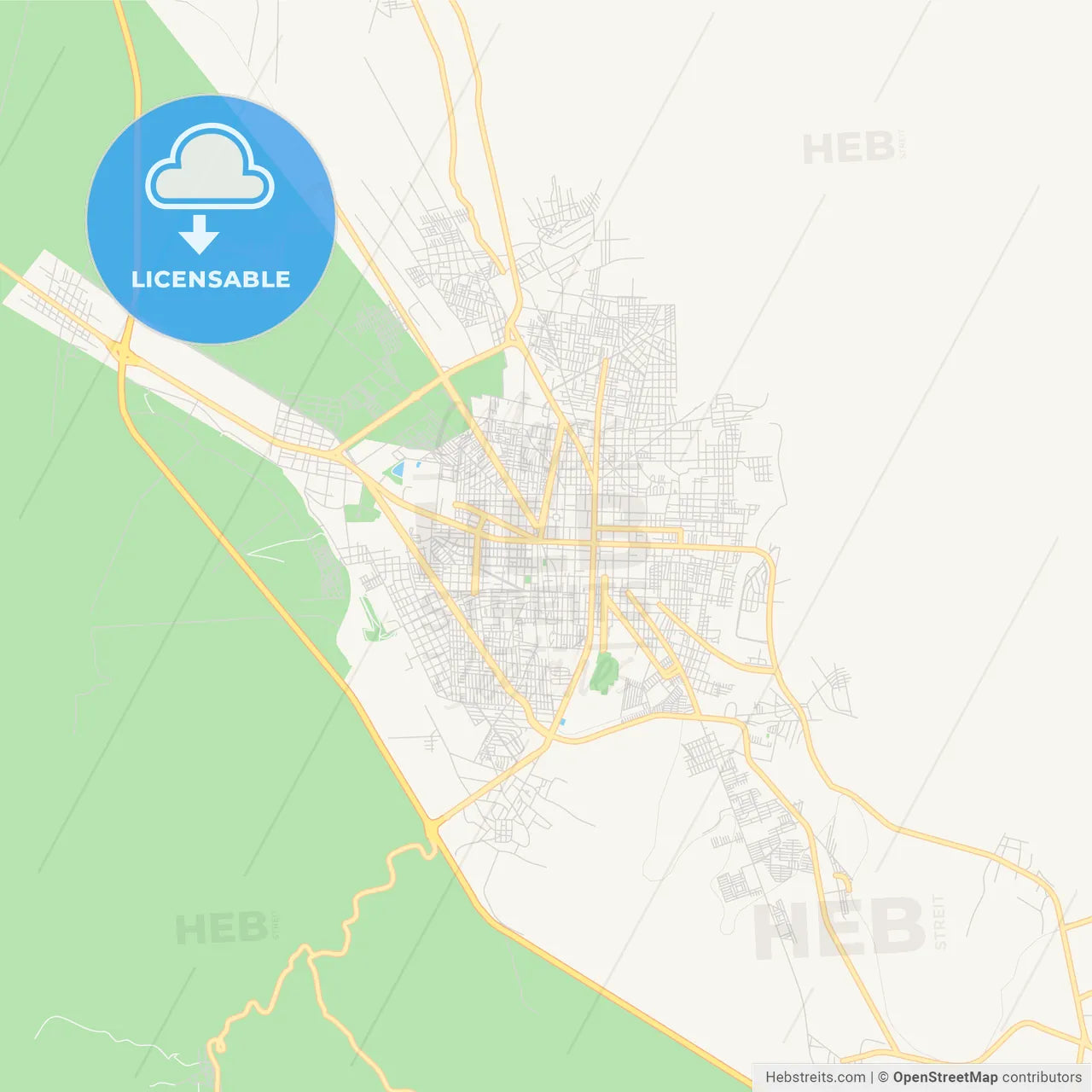 Empty vector map of Tehuacán, Puebla, Mexico