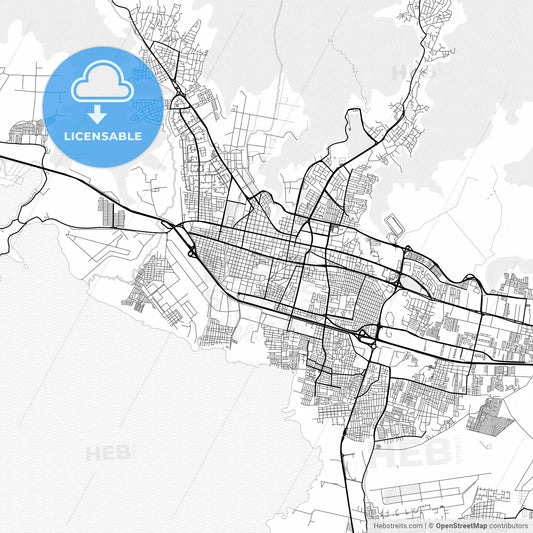 Vector PDF map of Maracay, Venezuela