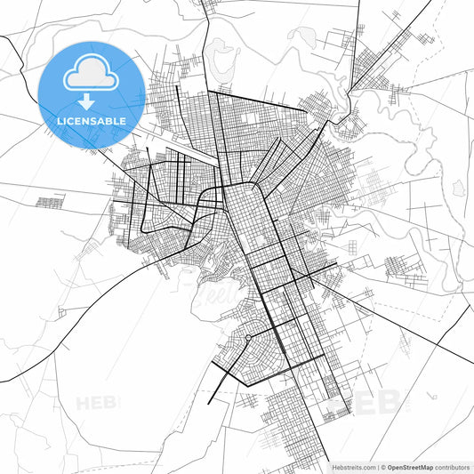 Vector PDF map of Juliaca, Peru