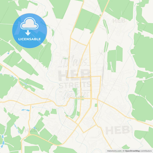 Kamianets-Podilskyi, Ukraine Vector Map - Classic Colors