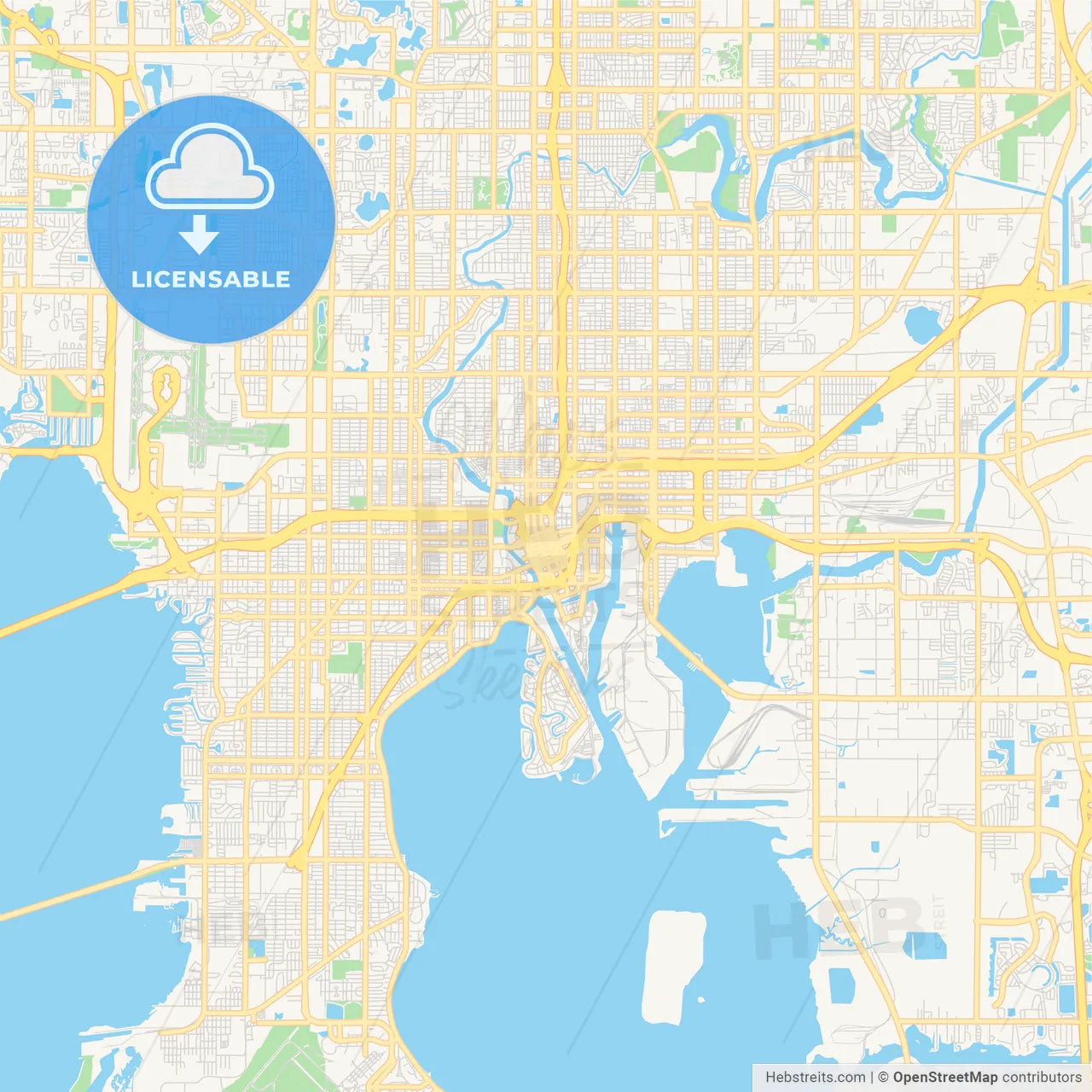 Empty vector map of Tampa, Florida, USA