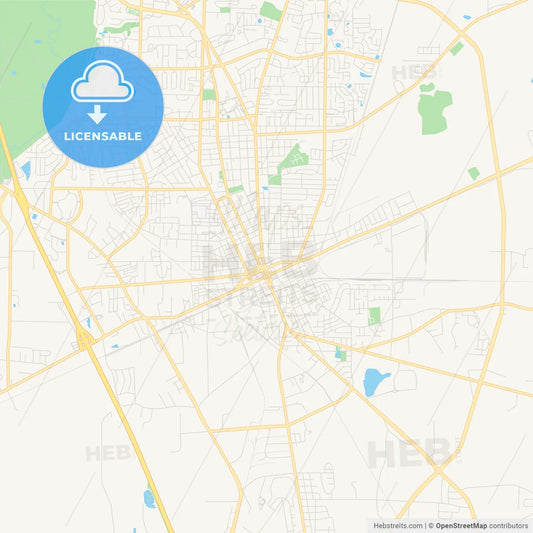 Empty vector map of Valdosta, Georgia, USA