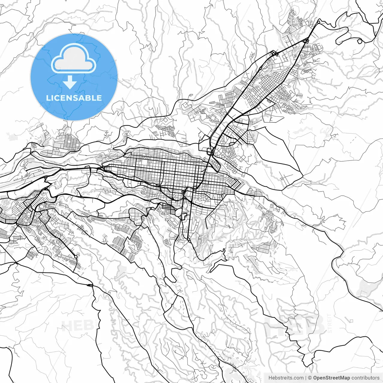 Vector PDF map of Pereira, Colombia
