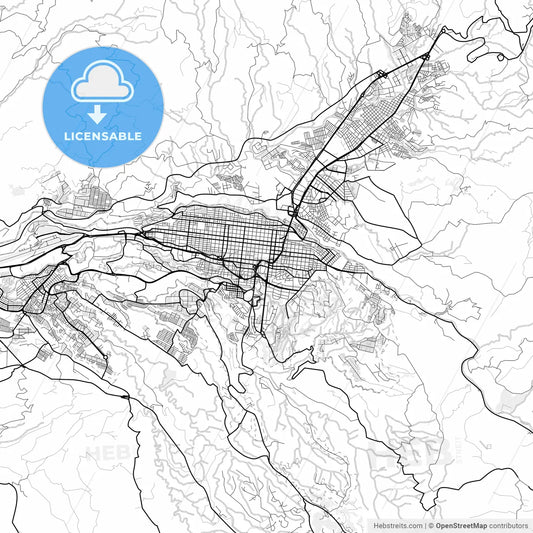 Vector PDF map of Pereira, Colombia