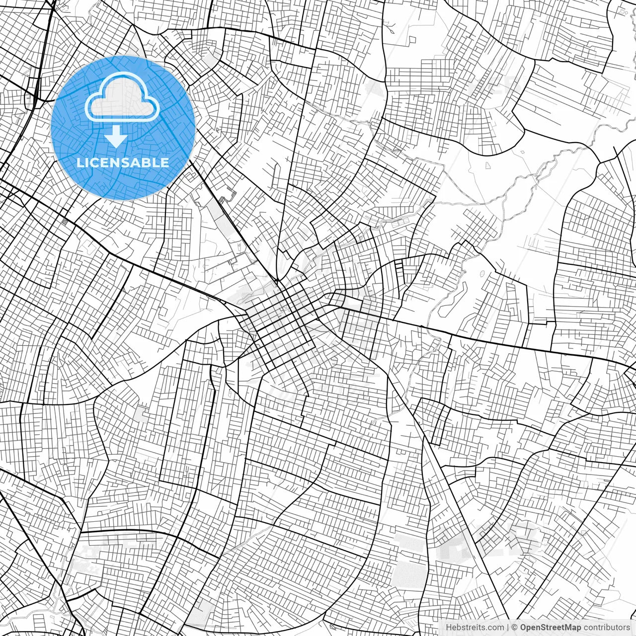 Vector PDF map of San Lorenzo, Paraguay