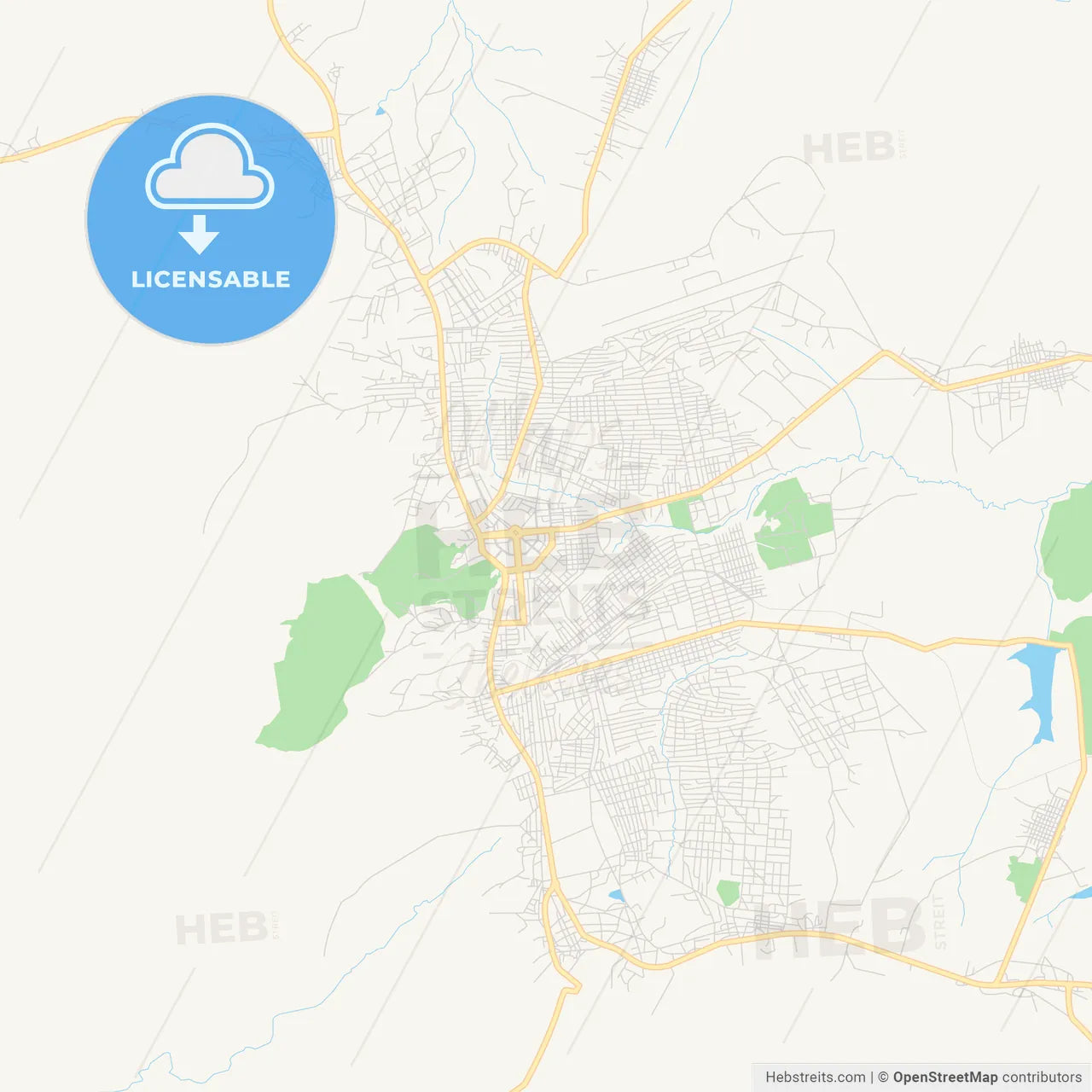 Printable street map of Lichinga, Mozambique