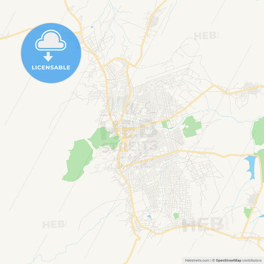 Printable street map of Lichinga, Mozambique