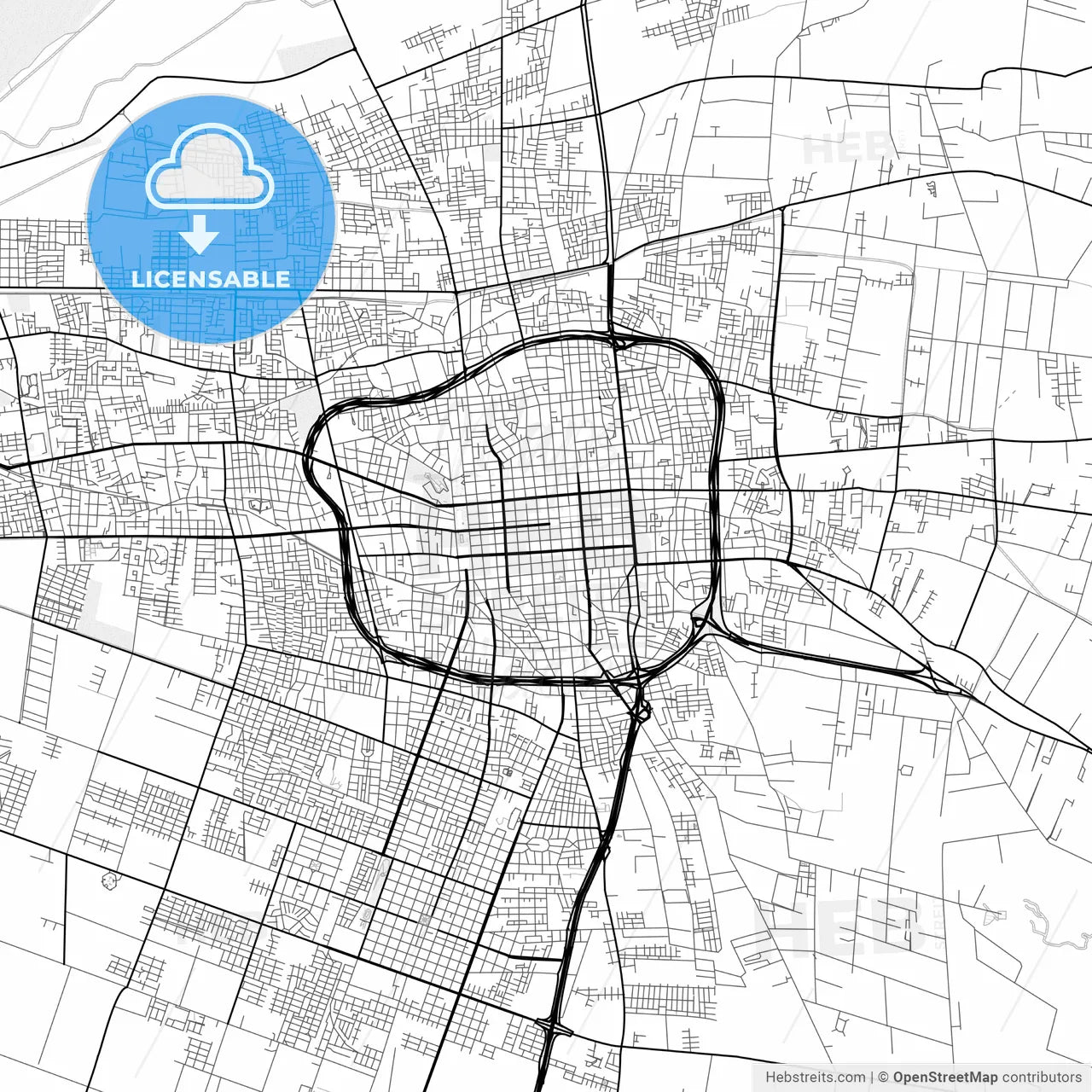 Vector PDF map of San Juan, Argentina
