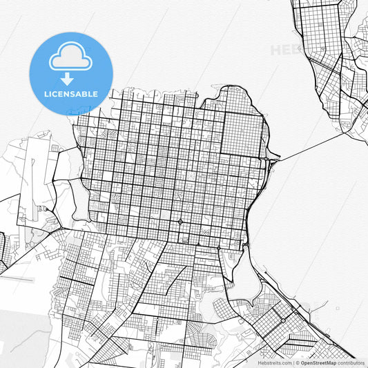 Vector PDF map of Posadas, Argentina