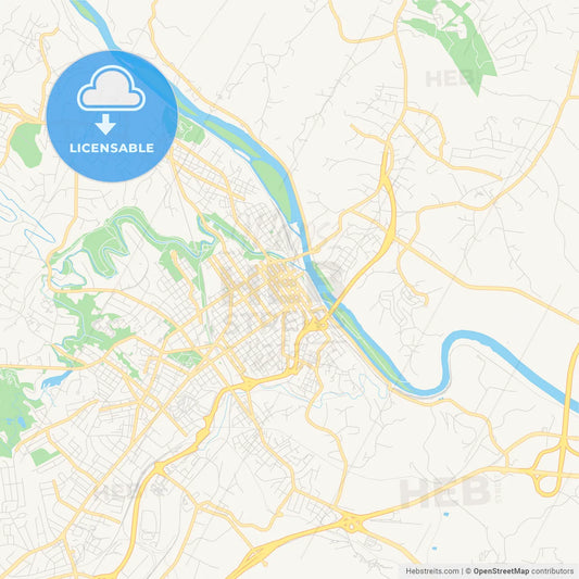 Empty vector map of Lynchburg, Virginia, USA