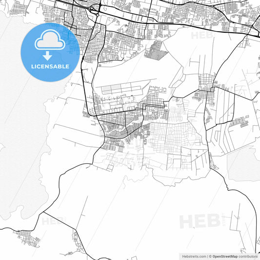 Vector PDF map of Palo Negro, Venezuela