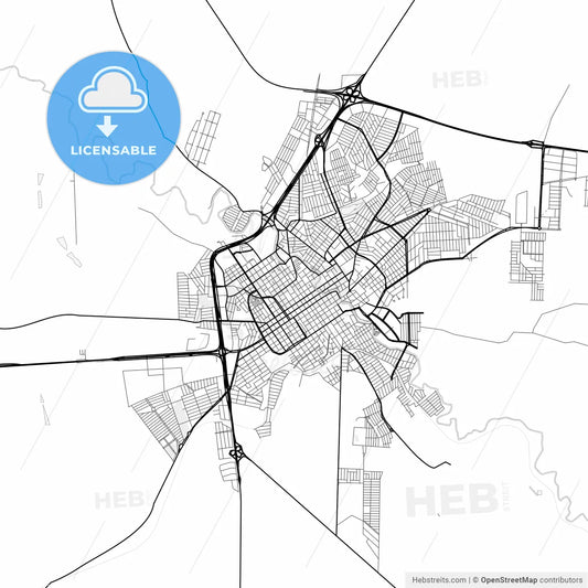 Vector PDF map of Jau, Brazil