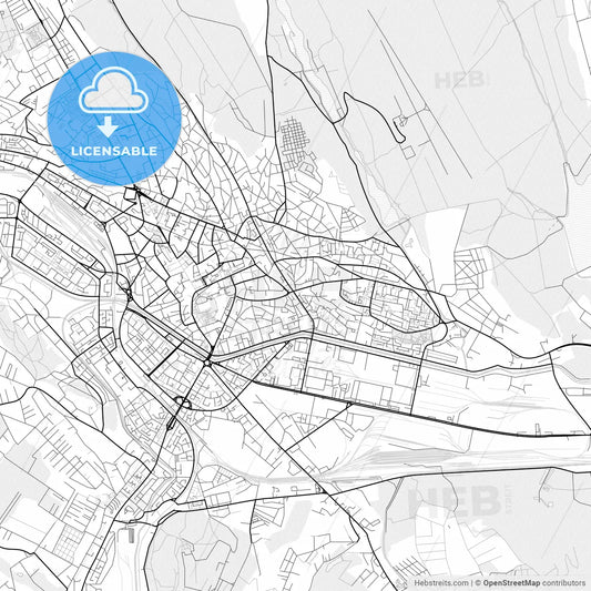Vector PDF map of Iași, Romania
