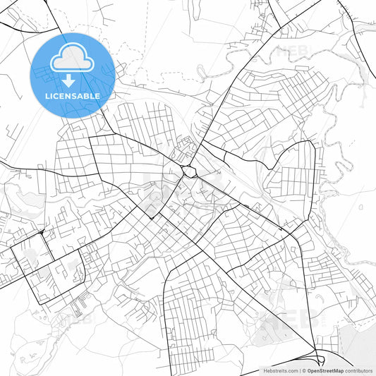 Vector PDF map of Roslavl, Russia