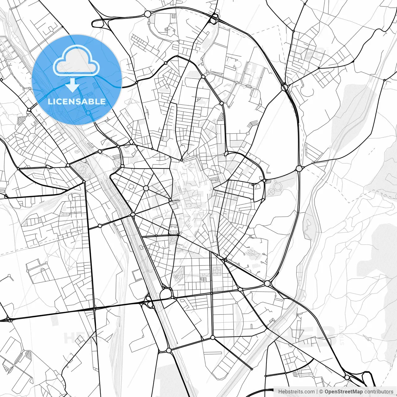 Vector PDF map of León, Spain