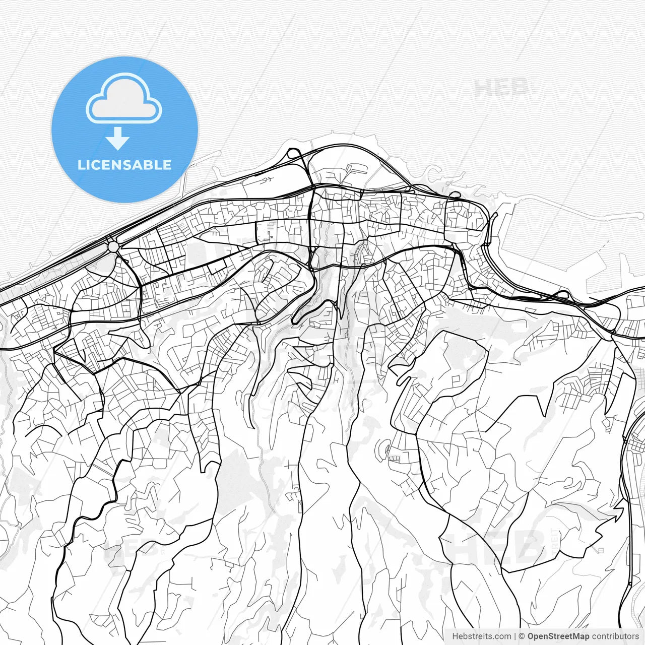 Vector PDF map of Trabzon, Turkey