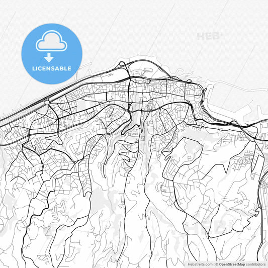 Vector PDF map of Trabzon, Turkey