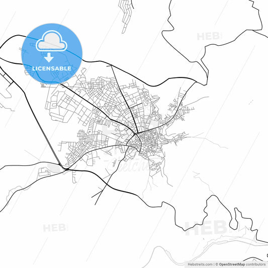 Vector PDF map of Siirt, Turkey