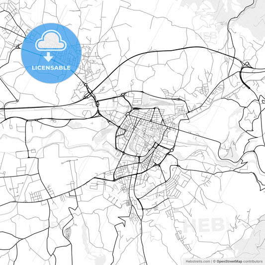 Vector PDF map of Terni, Italy