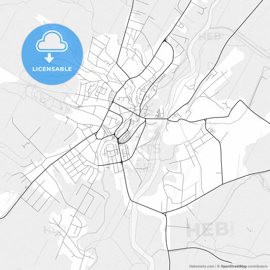 Vector PDF map of Reghin, Romania