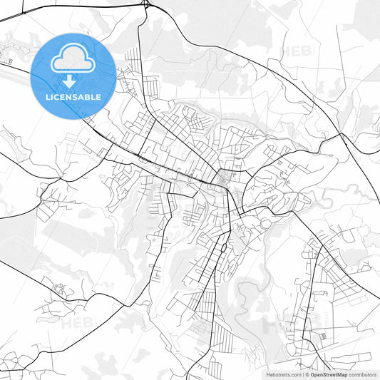 Vector PDF map of Lubny, Ukraine