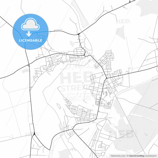 Vector PDF map of Dubno, Ukraine