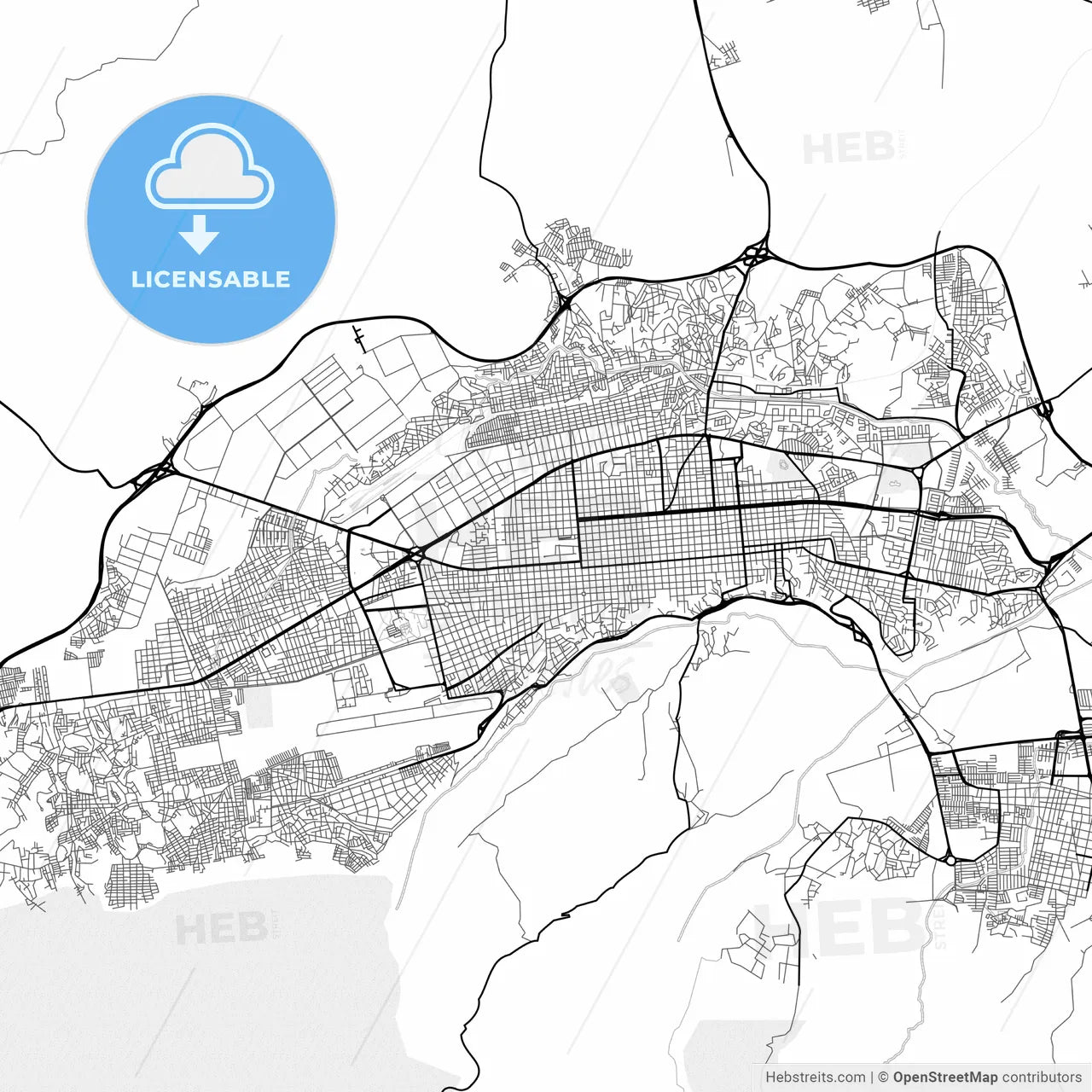 Vector PDF map of Barquisimeto, Venezuela