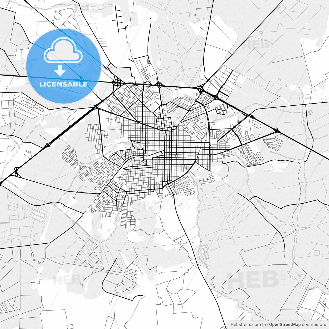 Vector PDF map of Assis, Brazil