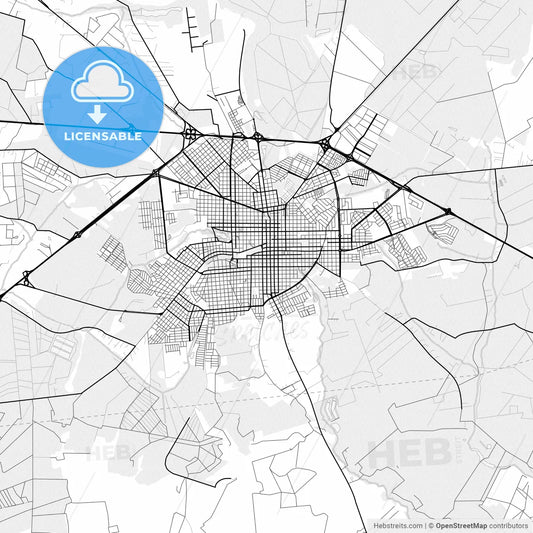 Vector PDF map of Assis, Brazil