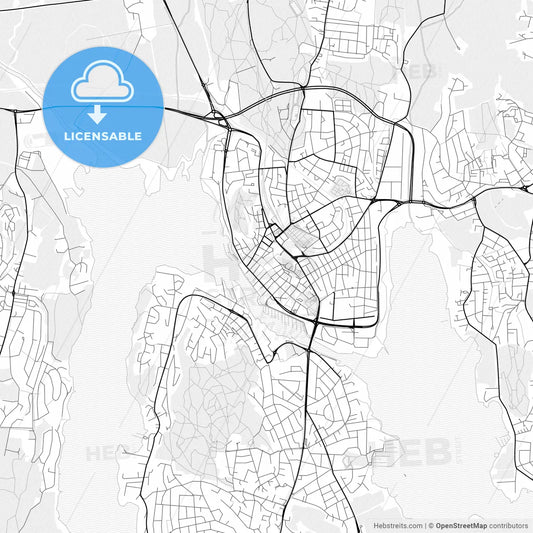 Vector PDF map of Tønsberg, Norway