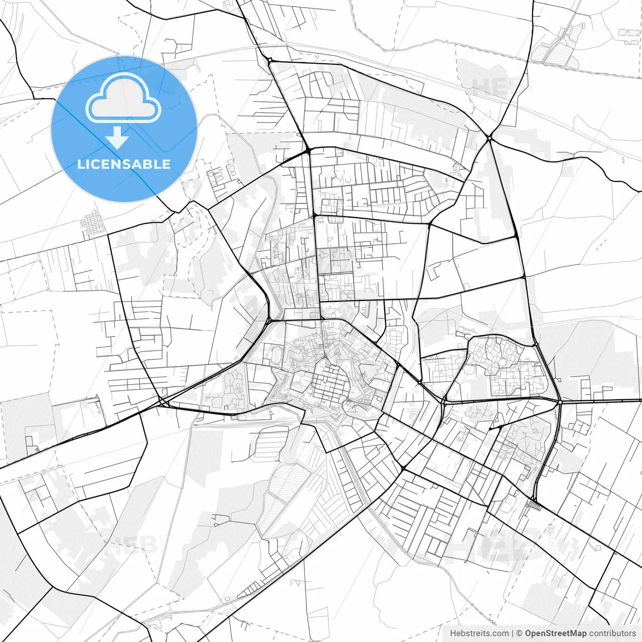 Vector PDF map of Zamość, Poland