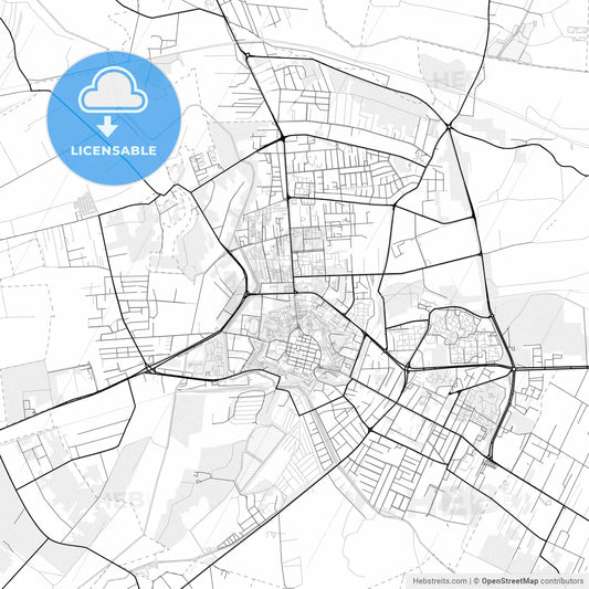 Vector PDF map of Zamość, Poland