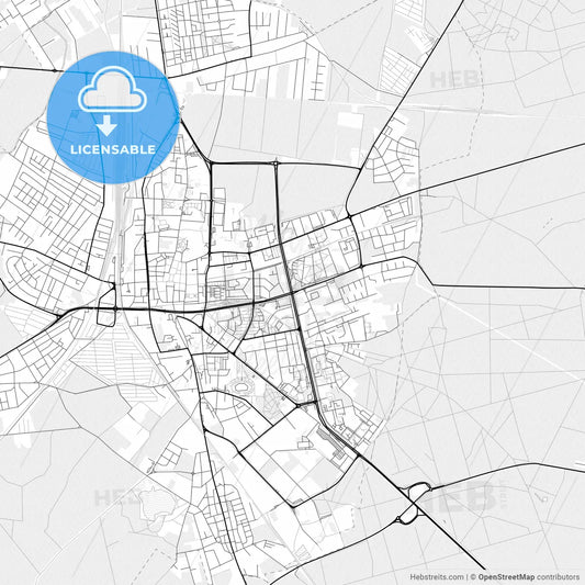 Vector PDF map of Leszno, Poland