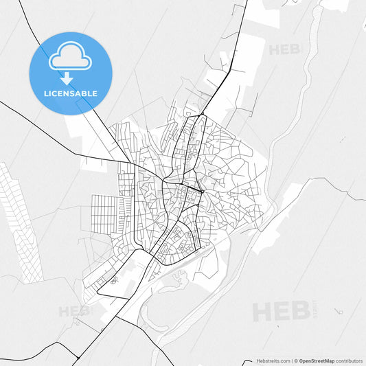 Vector PDF map of Bârlad, Romania